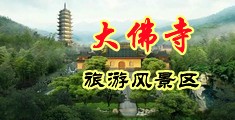 东洋人体美媚馆中国浙江-新昌大佛寺旅游风景区